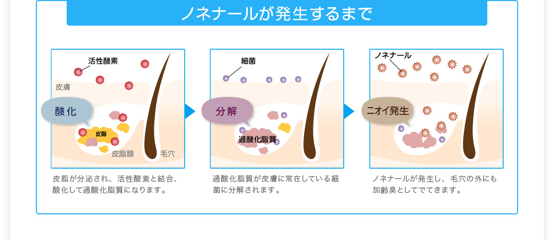 ノネナールが発生するまで