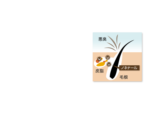 からだのニオイは健康状態のバロメーターです。生活習慣の変化から、最近では「加齢臭」を気にする人が増えています。加齢臭の主な原因は、「皮脂汚れ」「バクテリア」「ノネナール」の３つになります。まず、毛穴などに詰まった皮脂汚れが紫外線により酸化すると、バクテリアが繁殖・発酵し「ノネナール」という悪臭成分を生み出します。人は４０歳を過ぎた頃から、この皮脂の酸化への抵抗力が弱くなってしまうため、気になる加齢臭の原因となるノネナールを発生しやすい状態になってしまうのです。このため加齢臭を防ぐには、ノネナール対策をする必要があるのです。
