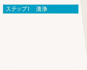 清浄で皮脂を毛穴から洗い流します。