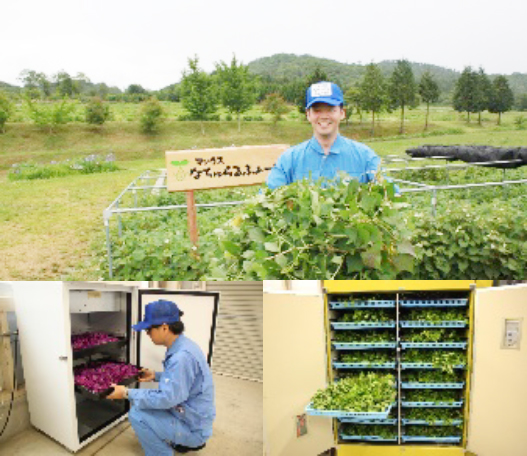 サンプルAとサンプルB