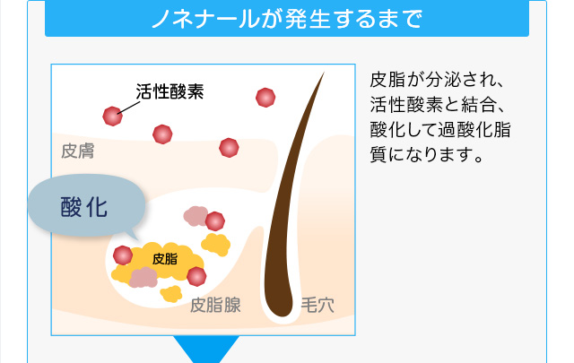 ノネナールが発生するまで