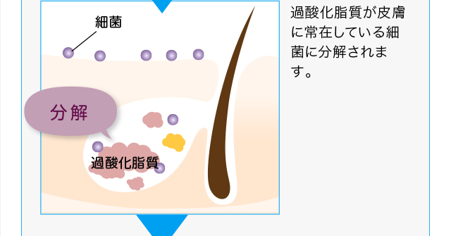 ノネナールが発生するまで