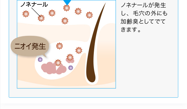 ノネナールが発生するまで