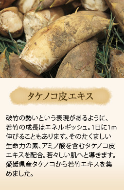 破竹の勢いという表現があるように、若竹の成長はエネルギッシュ。1日に1m伸びることもあります。そのたくましい生命力の素、アミノ酸を含むタケノコ皮エキスを配合。若々しい肌へと導きます。愛媛県産タケノコから若竹エキスを集めました。